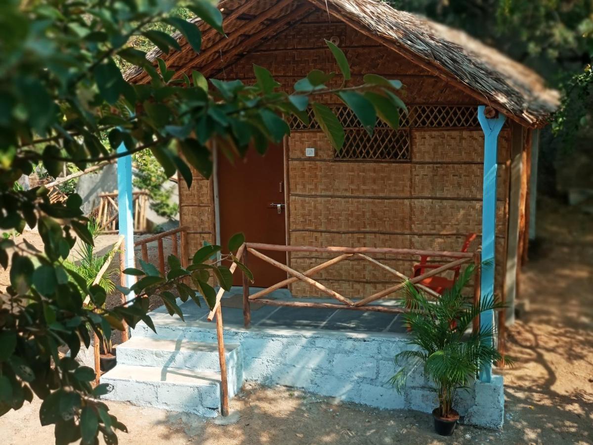 Hampi Nature Cottage エクステリア 写真