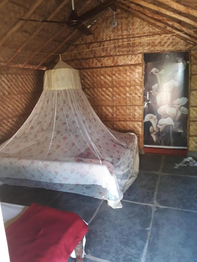 Hampi Nature Cottage エクステリア 写真
