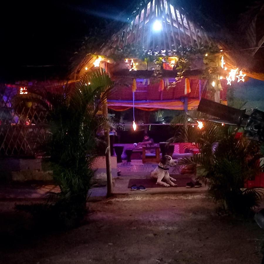 Hampi Nature Cottage エクステリア 写真