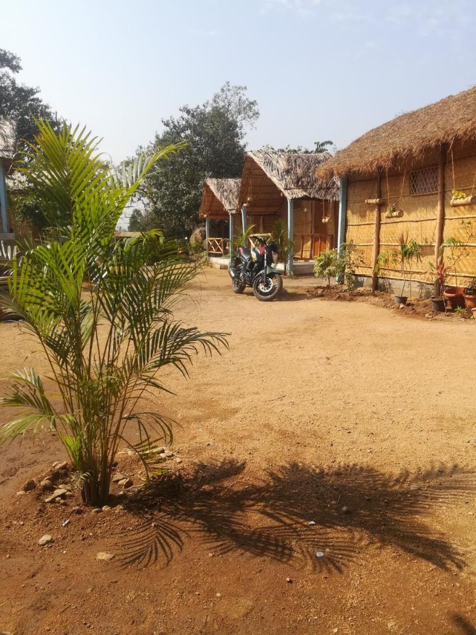 Hampi Nature Cottage 部屋 写真